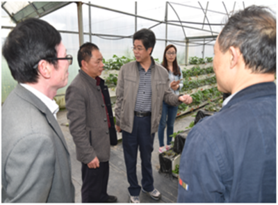 深耕產業一線，助力鄉村振興——園藝學院教工第二黨支部赴周寧、政和開展黨員活動日活動